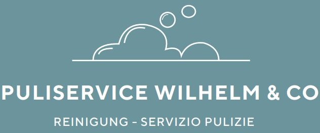 Puliservice Wilhelm Karin & Co